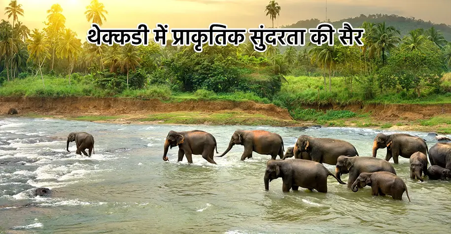 thekkady nature