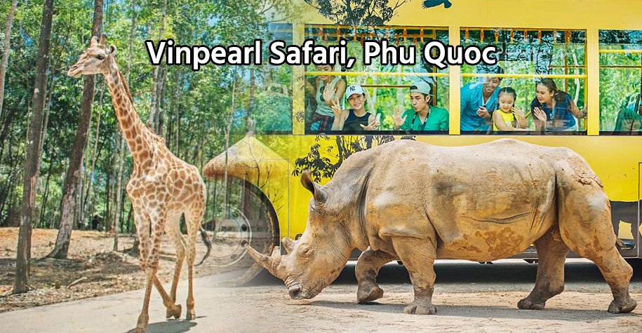 vinpearl safari phu quoc